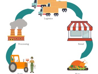 Agribusiness & Value Chains Within The Global Food Industry