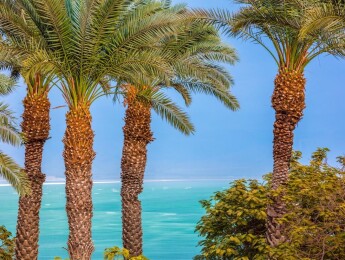 Dead Sea