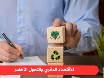 تعزيز الاستدامة: الاقتصاد الدائري والتحول الأخضر