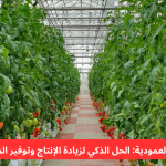 Vertical Farming and Its Major Benefits for Modern Agriculture